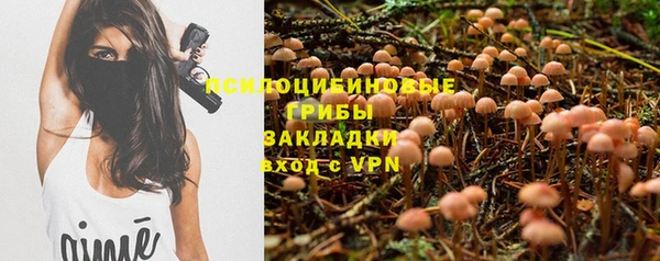 PSILOCYBIN Абинск